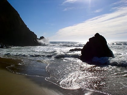 gray whale cove state beach half moon bay