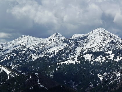 iron mountain bosque nacional sawtooth