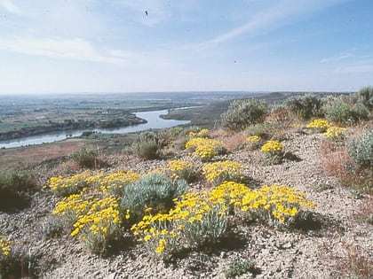 steppe arbustive de la snake et du columbia foret nationale de wallowa whitman