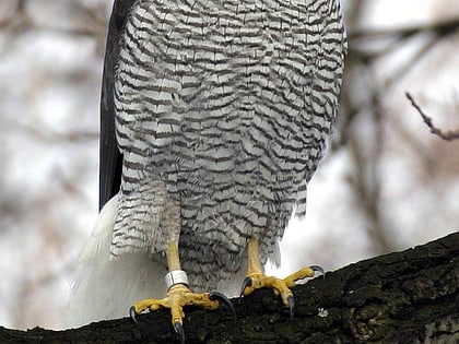 Sevilleta National Wildlife Refuge