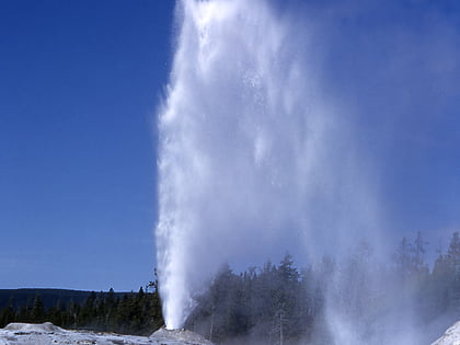big cub geyser yellowstone national park
