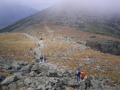 mount clay foret nationale de white mountain