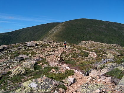 mount bond foret nationale de white mountain