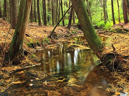 Quehanna Wild Area