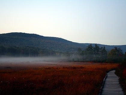 cranberry glades marlinton