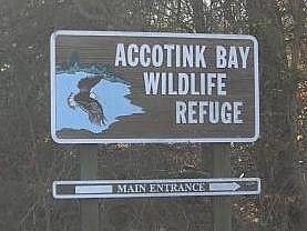 Accotink Bay Wildlife Refuge