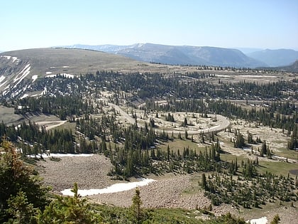 bald mountain pass bosque nacional wasatch cache