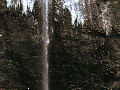 douglas falls pisgah national forest