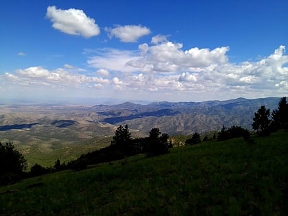 san mateo mountains apache kid wilderness