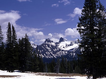 south central rockies forests teton wilderness