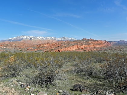 Red Cliffs National Conservation Area