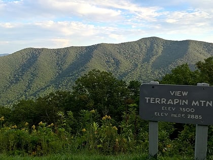 white oak ridge terrapin mountain