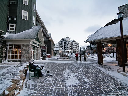 snowshoe mountain