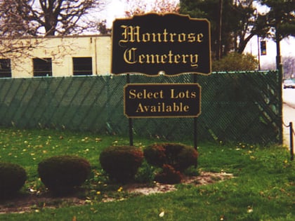 montrose cemetery chicago