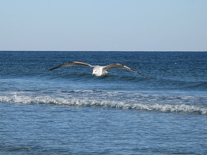 sunset beach