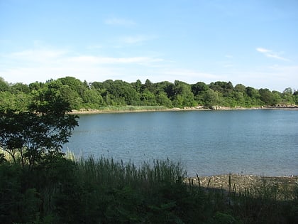 smith pool salem