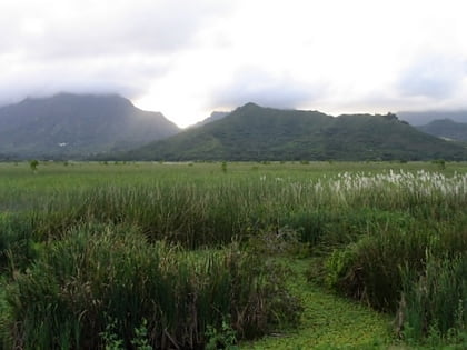 kawainui marsh kailua hawaii