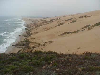 guadalupe nipomo dunes