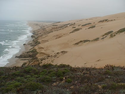 Guadalupe-Nipomo Dunes