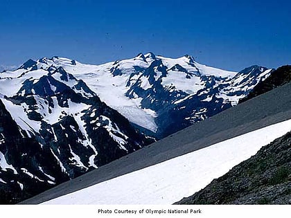 hoh glacier olympic national park