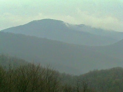 Pignut Mountain