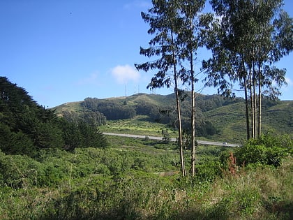 park stanowy san bruno mountain