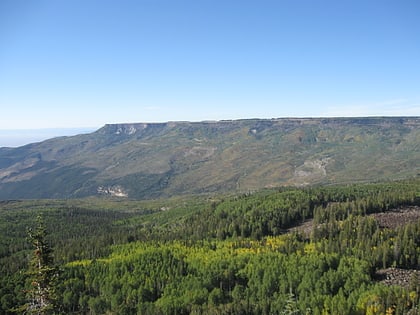 grand mesa national forest