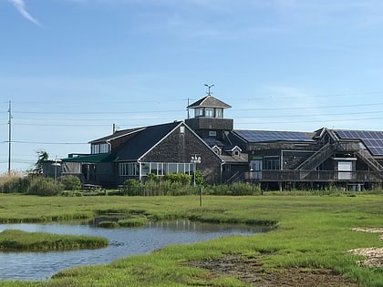the wetlands institute stone harbor