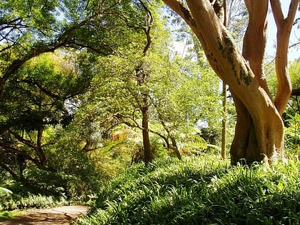 Jardín botánico Wahiawa