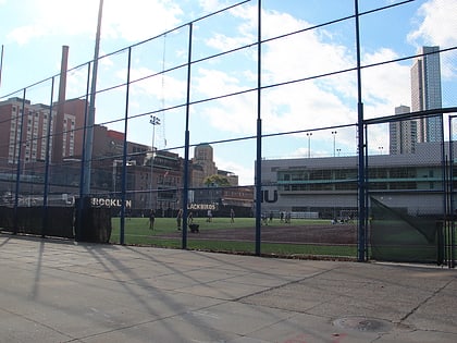 Long Island University Field