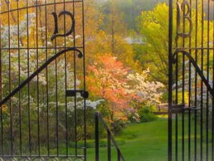 Daniel Boone Native Gardens