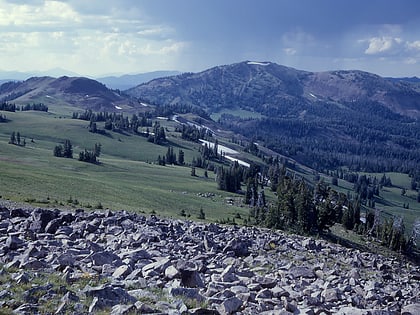 gray peak parc national de yellowstone
