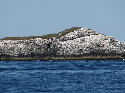 egg rock