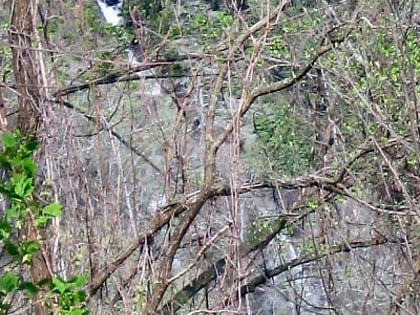 corbin creek falls pisgah national forest