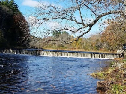 willowdale dam willowdale state forest