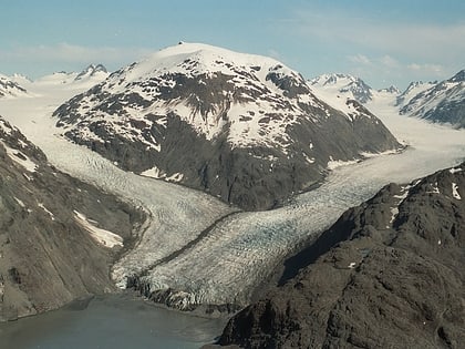 lodowiec muir glacier bay wilderness