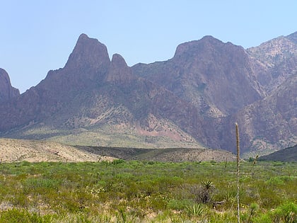 chisos mountains park narodowy big bend