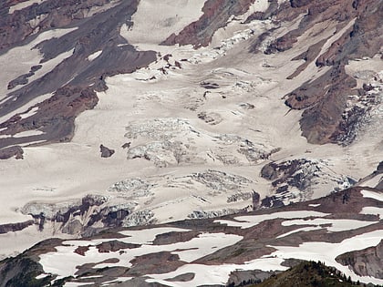 wilson glacier mount rainier nationalpark