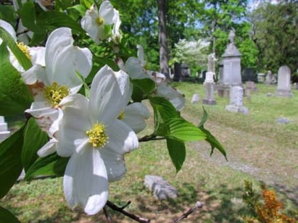 rockville union cemetery