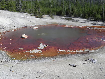 echinus geyser park narodowy yellowstone