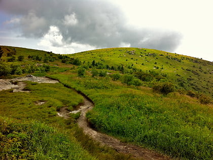 art loeb trail foret nationale de pisgah