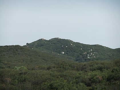 san mateo peak foret nationale de cleveland