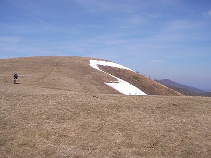 Max Patch