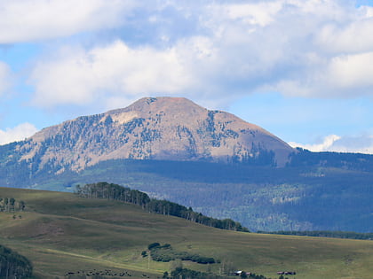 little cone uncompahgre national forest