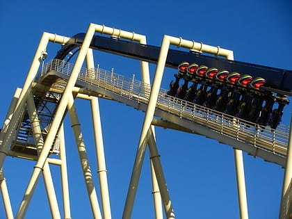 montu roller coaster tampa