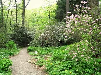 garden in the woods framingham