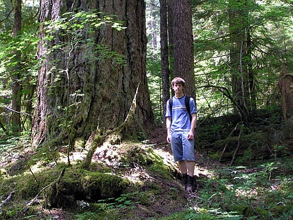 trapper creek wilderness