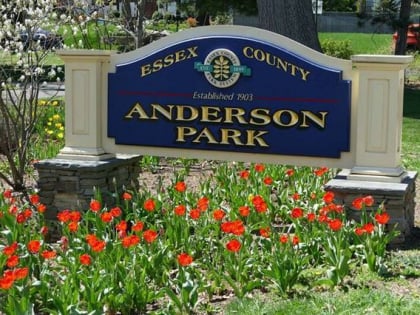 Friends of Anderson Park