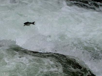 russian river falls cooper landing