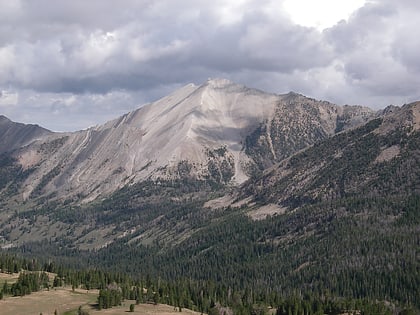 D. O. Lee Peak